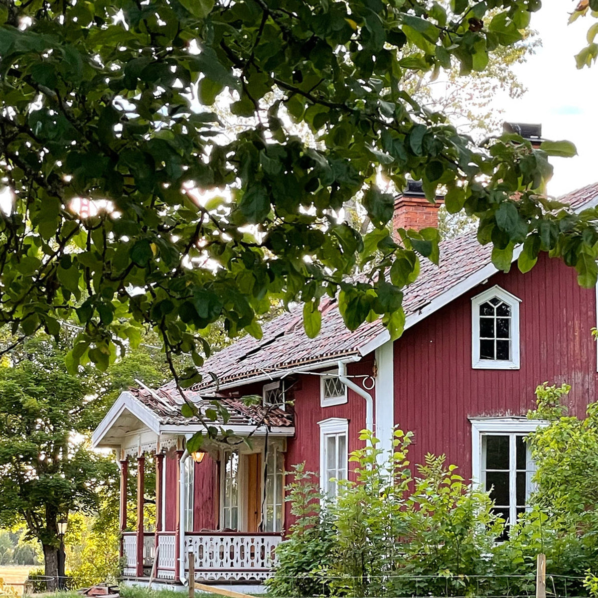 12 tips innan du målar om huset